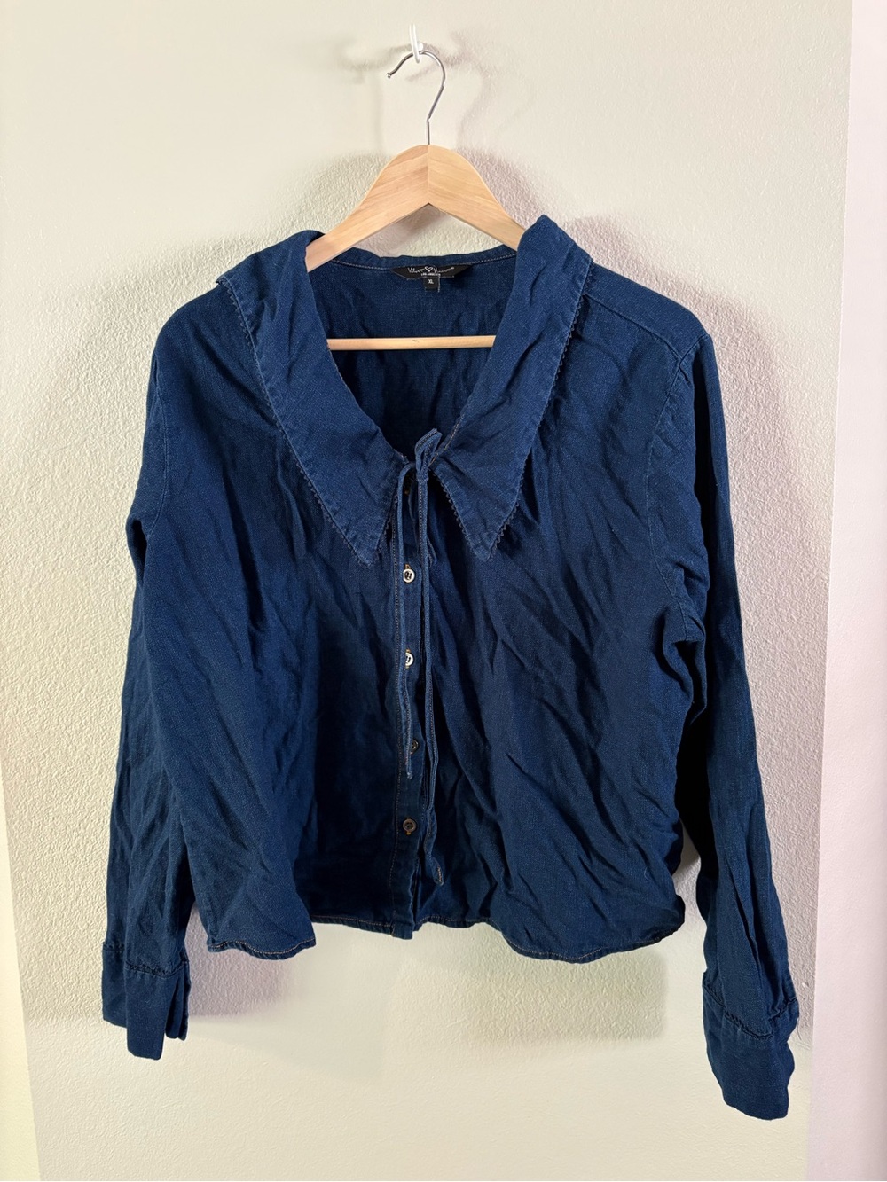Blue jean Poetcore Peter Pan Collar Shirt Velvet Heart Chelina XL